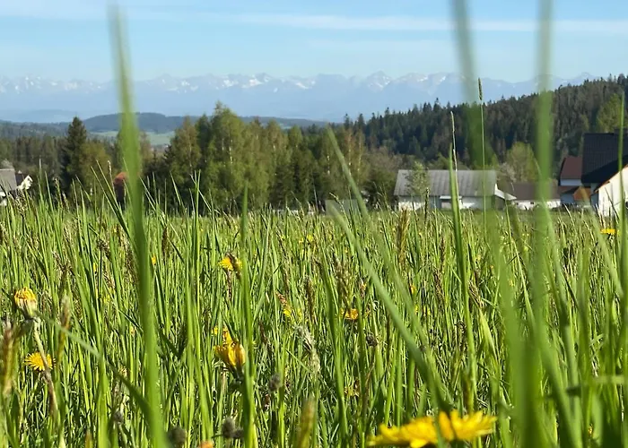 Casa vacanze Orawska Z Balia Pod Babia Gora Zubrzyca Gorna