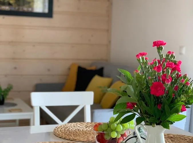 Orawska - Pod Babią Górą Z Prywatną Fińską Balią Elektryczną * Zubrzyca Gorna