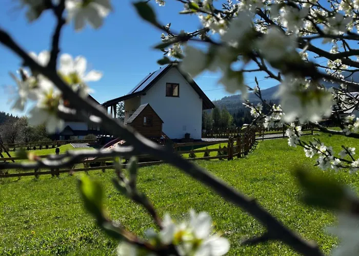 Orawska - Pod Babią Górą Z Prywatną Fińską Balią Elektryczną Zubrzyca Gorna